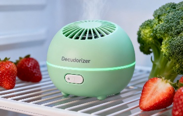 Refrigerator Deodorizer