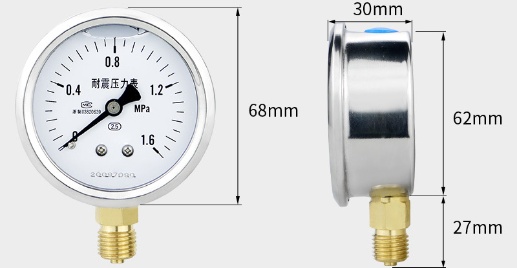 Shock-proof Pressure Gauge